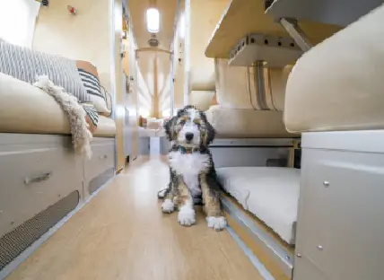 Luxury Comfort Luxury Comfort