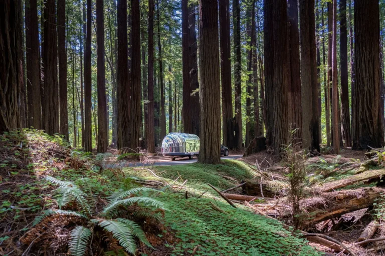 Why Would You Want a Lighter RV