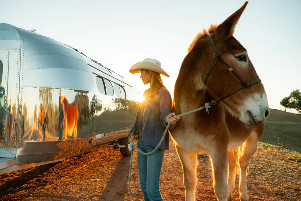 Bowlus_2026_EndlessHighways_Frontier_TT_011