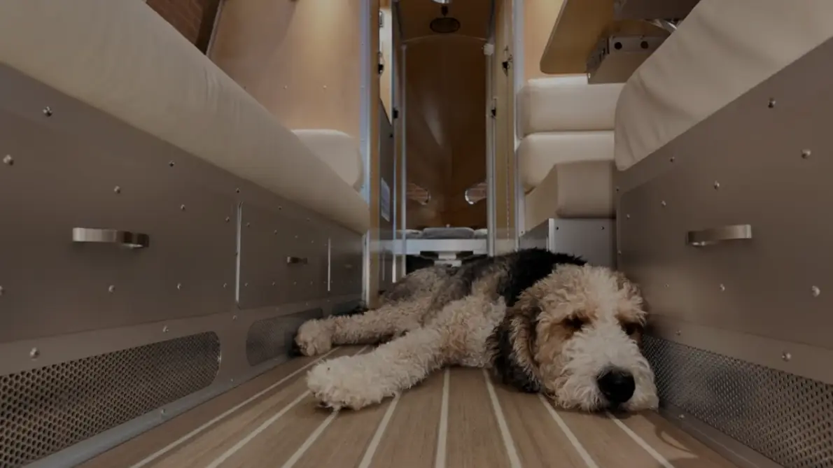RVing with Pets: Why the Bowlus is Perfect for Traveling with Your Furry Friend!