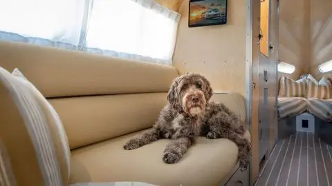 You have no idea how excited we are about our Terra Firma Edition!